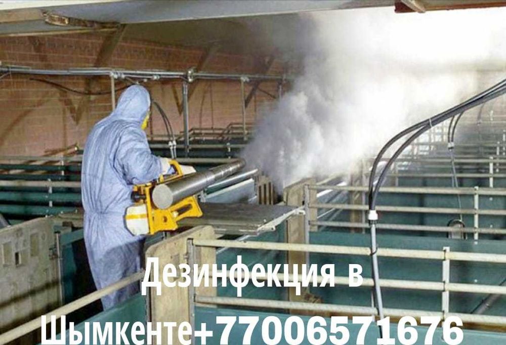 Дезинфекция в Шымкенте