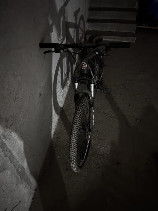 Velosiped mtwolf