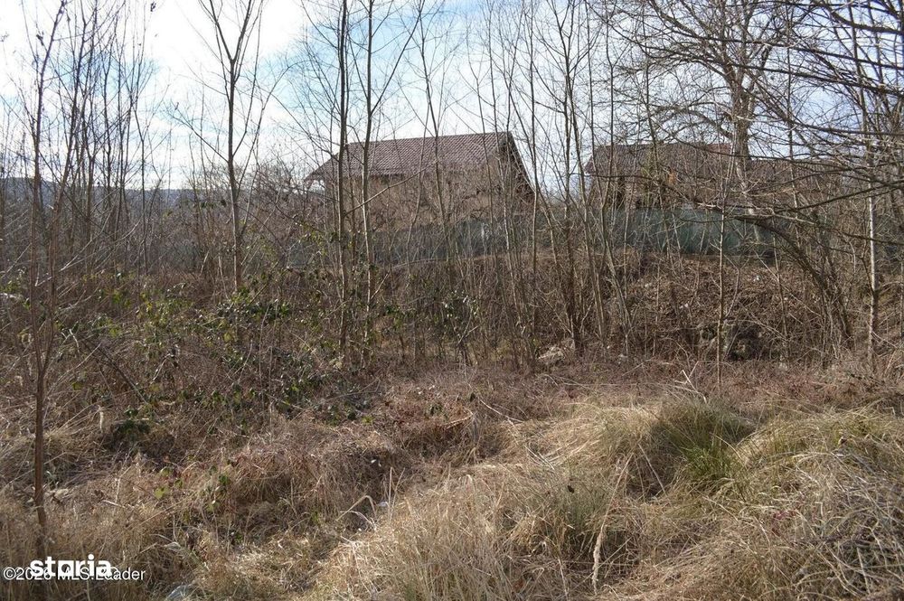 Valea Ursului - DN 7, Teren Stradal 2744 mp