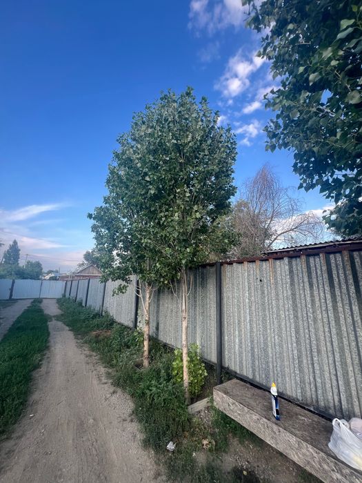 Продам дом на 11 мкр