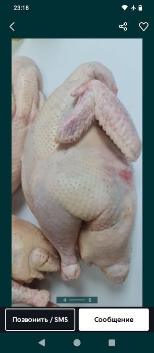 Домашние куриные мясо