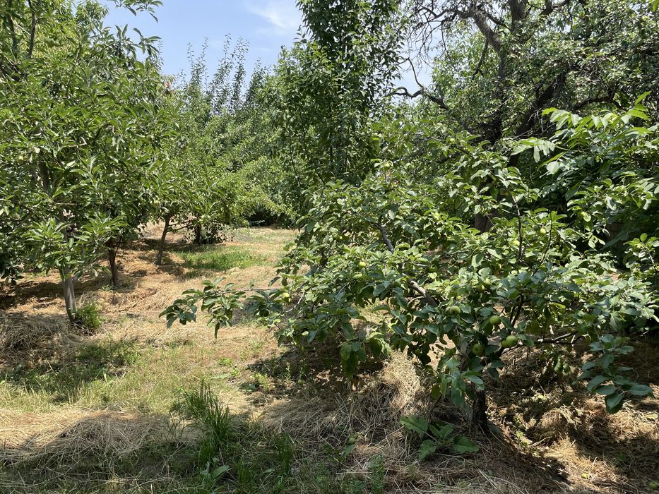 Oq toshda yer sotiladi