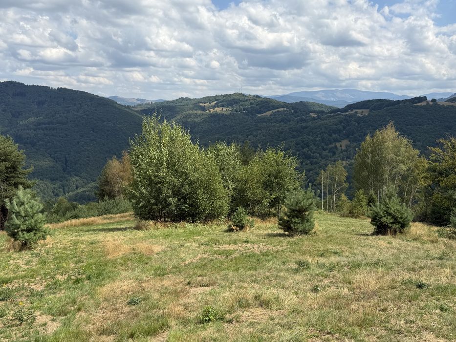 Teren în Damiș cu panoramă superbă spre Vlădeasa – altiudine 820 m, curent și apă la limită