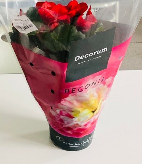 Цветы на горшочке