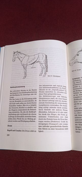 Carte veterinara despre cai in lb germana