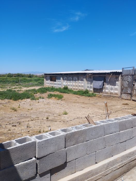 фазенда уй сатылады