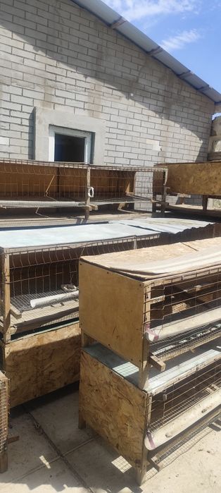 Тауық кетек для несушек