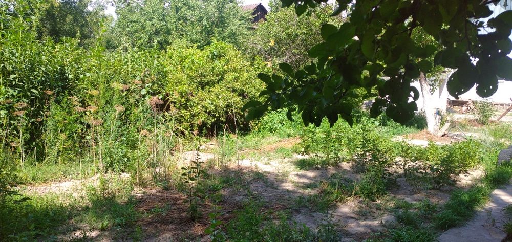 Продам жилой дом