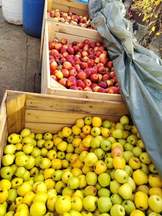 Suc de mere natural 100%