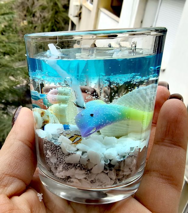 Морски Чаши  СВЕЩИ