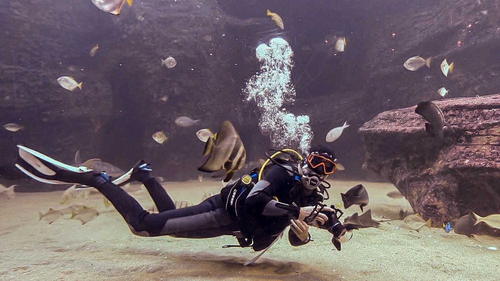 Водолазна жилетка BCD Cressi