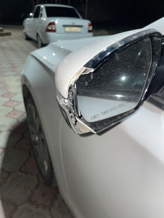 Боковой зеркало grandeur