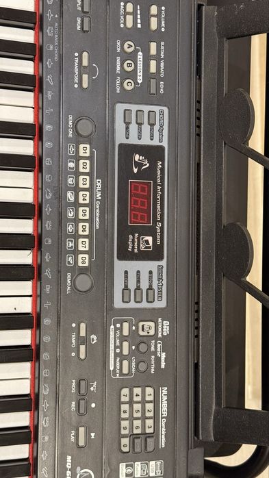 Orga electronica