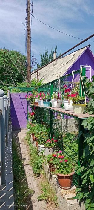 Продам дом в Коксае (Путь ИЛЬича)