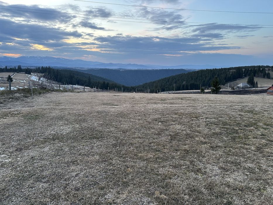 Teren in Marisel, Copcea aproape de partie