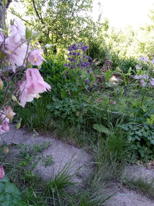 Продается дача в городе Текели.