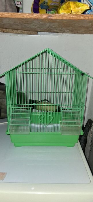 Vând cușcă de hamsteri/Peruși