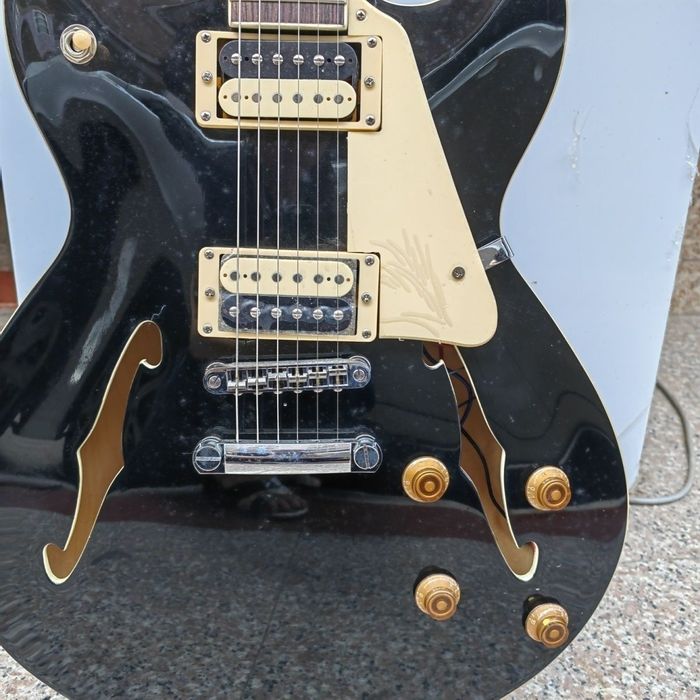 Electrogitara | sola gitara | gitara