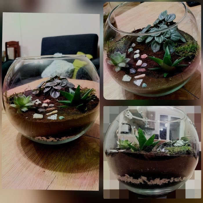 Мини екосистеми - естествени и изкуствени