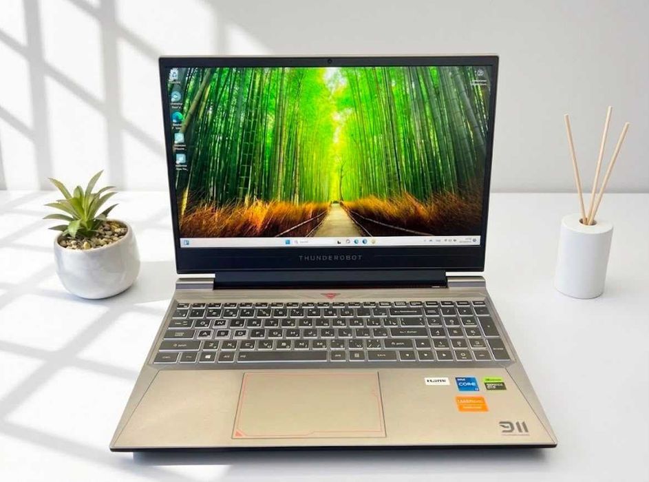 Игровой ноутбук Thunderobot | Core i5-12450H | 16GB | RTX4060 | 512GB