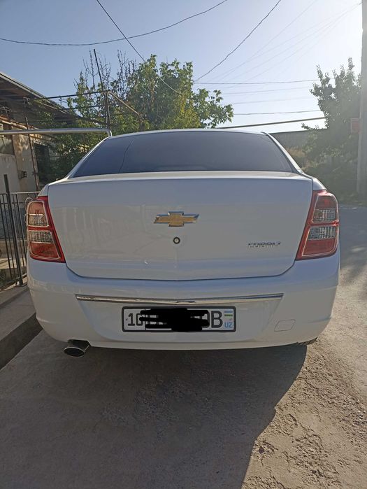 Cobalt 2023 evro economiser