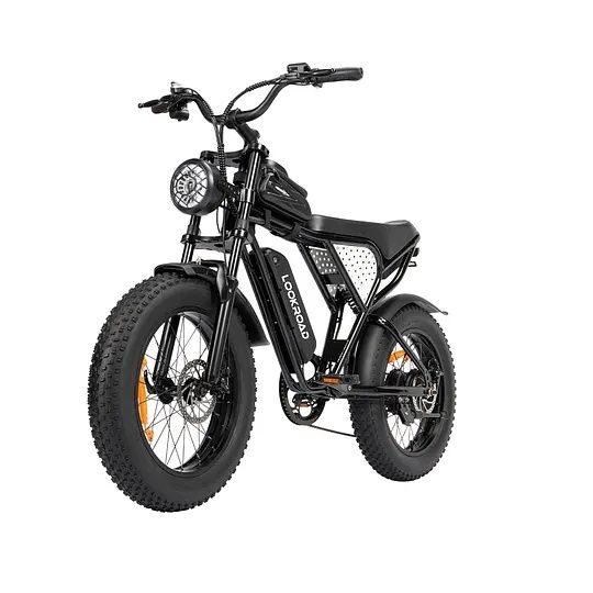 Bicicletă electrică LOOKROAD L20 MIN – 1000W, baterie 48V 15,6Ah