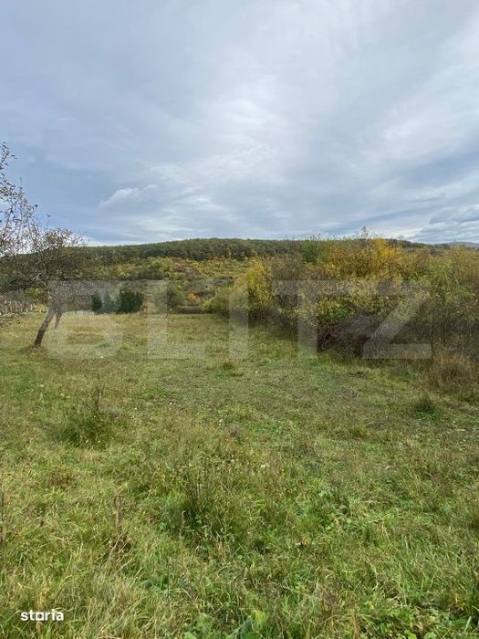 Teren 77 ari | Zona Valea Rusului | Posibilitate parcelare in 2 loturi