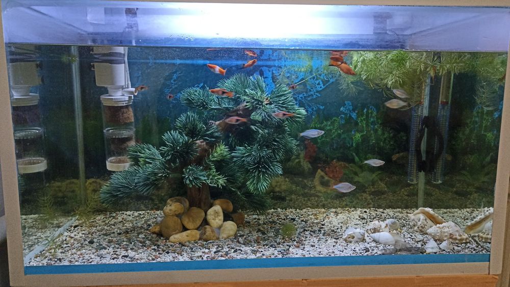 Продам аквариум 100 литров