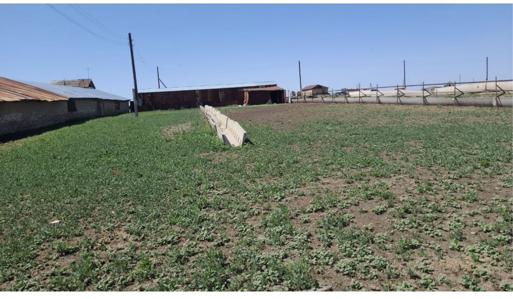 Фазенда крестянское хозяйство кашар