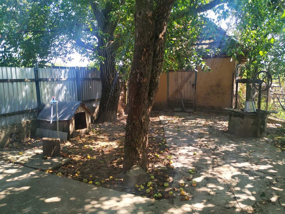 Vand casa Talpos jud Bihor