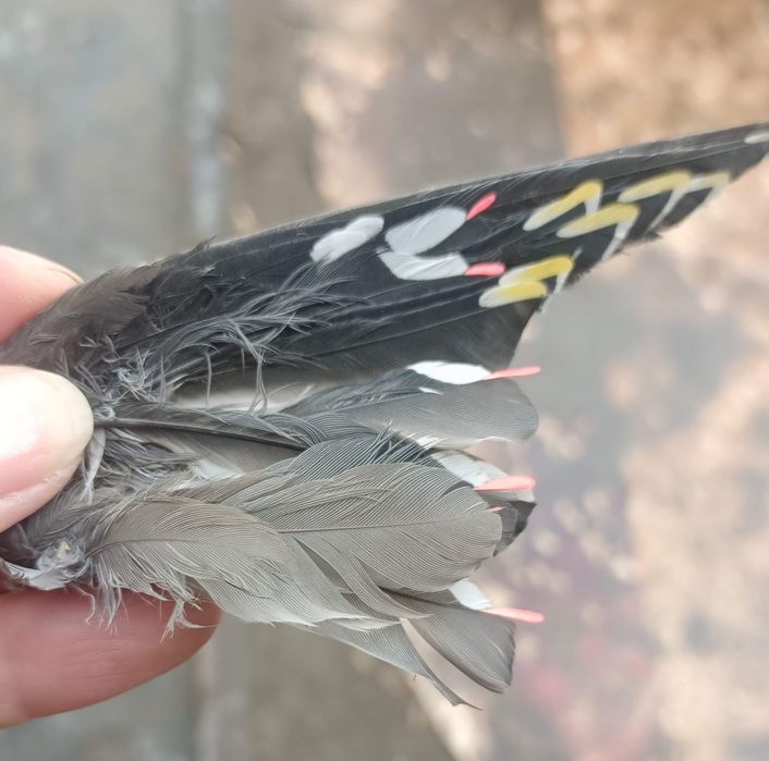 Кроссовки унисекс 36 размер