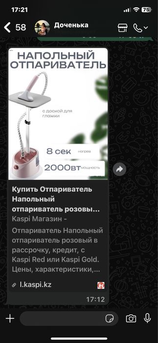 Отпариватель новый