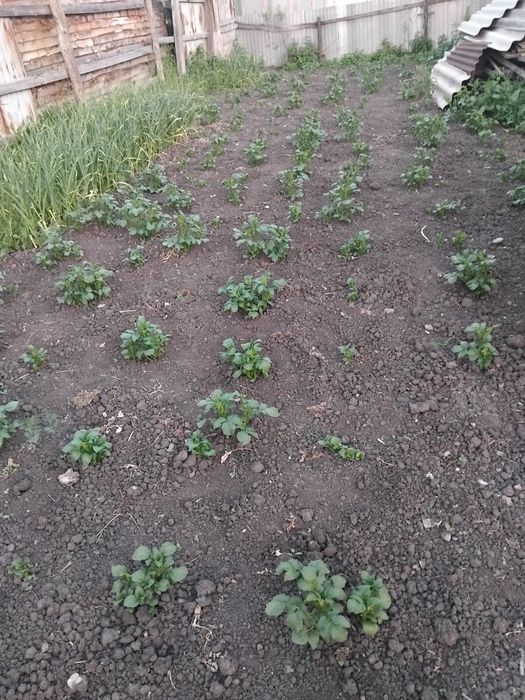 Продам Дом дом дом