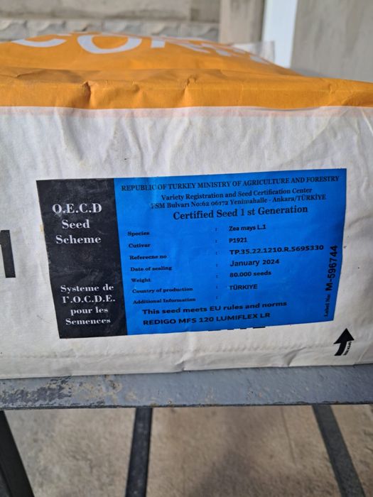 Кукуруза семена Пионер