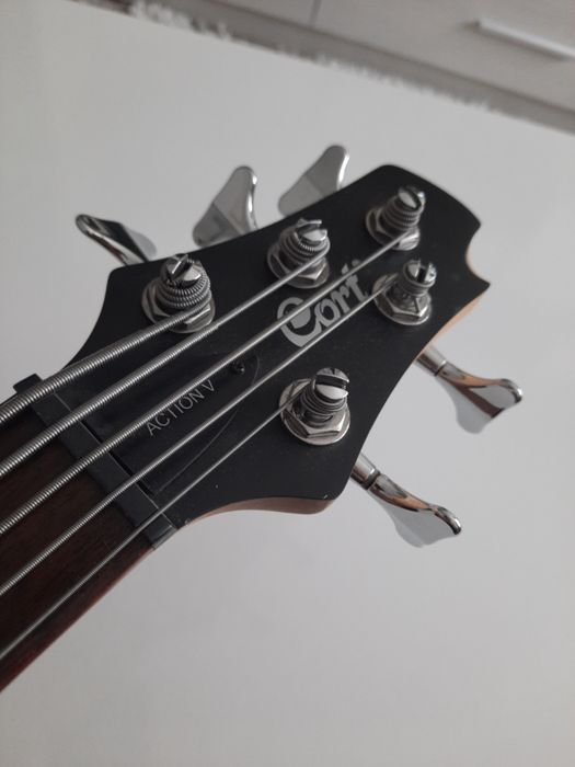Chitara bass, 5 corzi, fretless