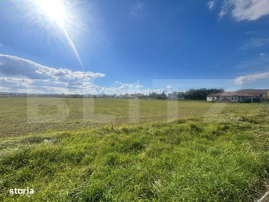 Teren Extravilan in Apropiere de Jelna – 25.800 mp, cu Utilitati
