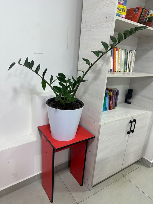 3 ta sifatli PARTALAR sotiladi!