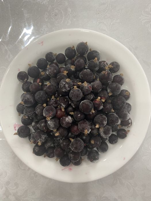 Смородина  черная