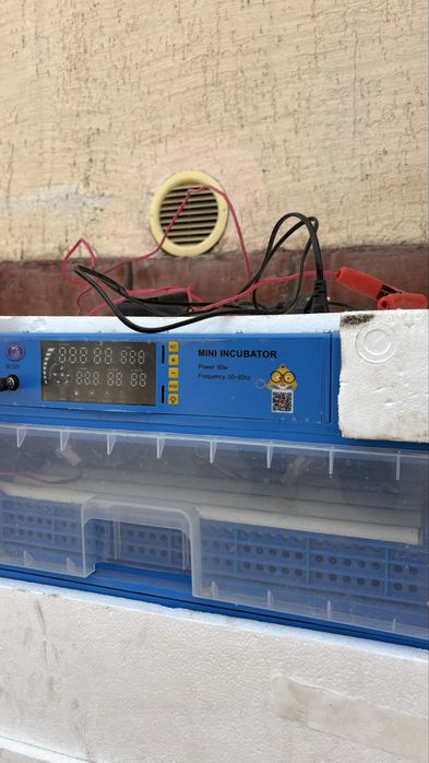 Инкубатор на 200 яиц