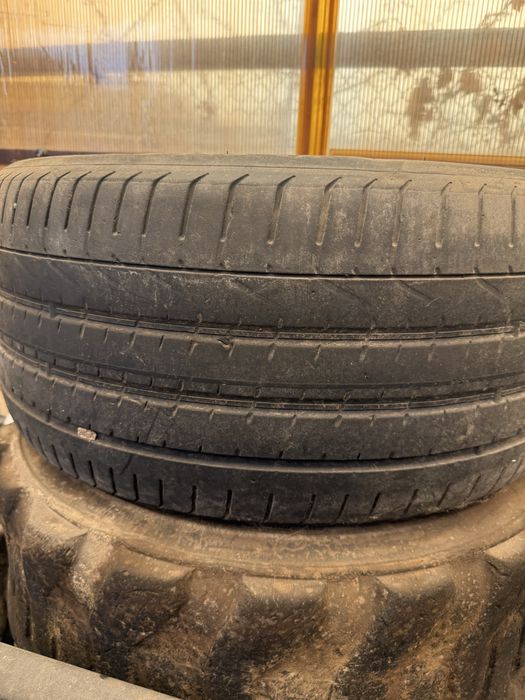 295/34/21 один балон пирели