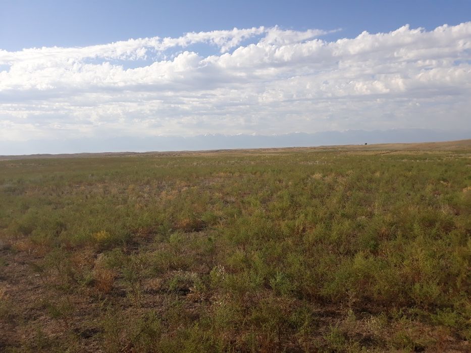 Продам участок (к/х, с/х)