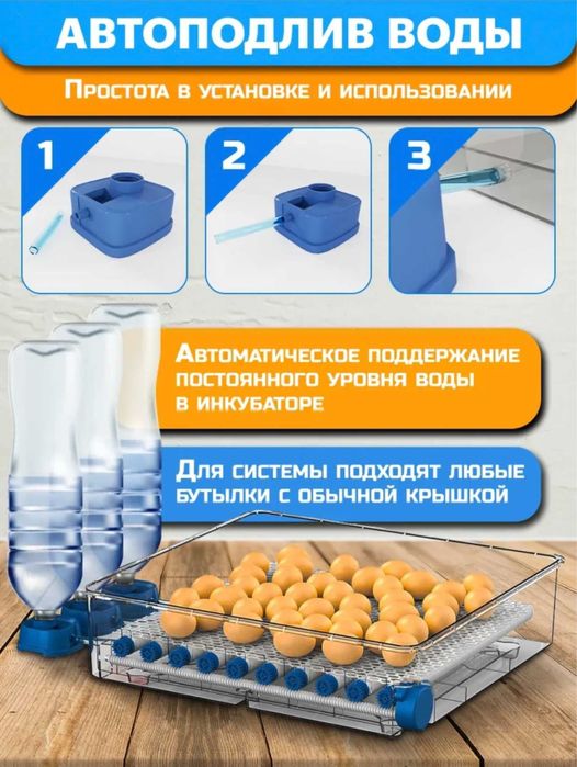 Автомат инкубатор avtomat inkubator