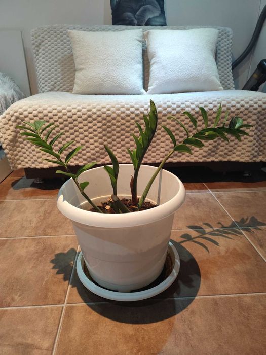 Диван растегателен 130см ширина 90 височина. Спално място 130-190см.