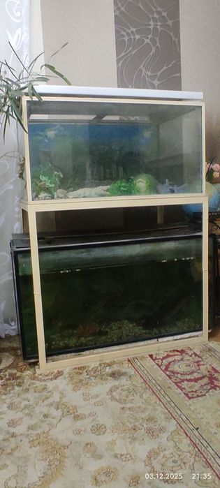 Два аквариума на стойке