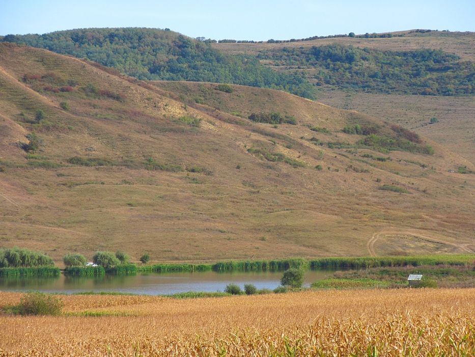 Teren la Brateni - peste 1 hectar VANZARE  jud BN