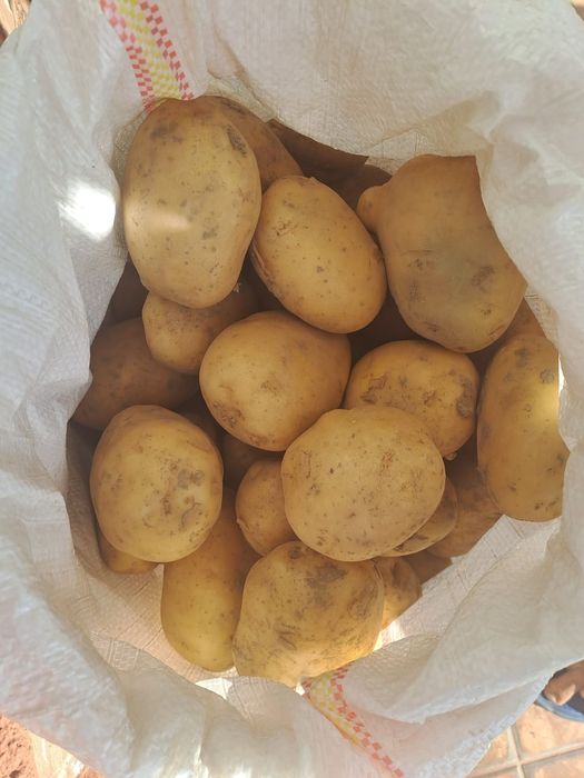 Vand cartofi albi si rosii