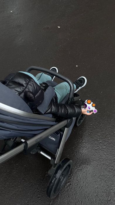 Коляска anex Ltype