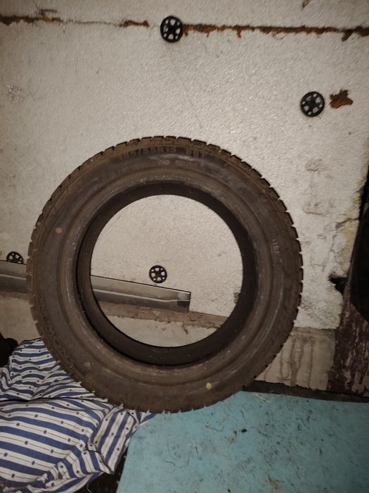 Қыстық дөңгелек.