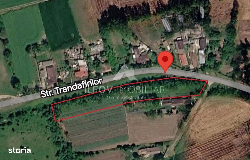 Teren intravilan Nuci, 3100mp, deschidere 171.5m, asfalt