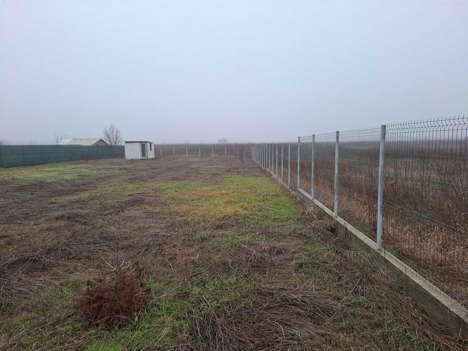 Vanzare teren 1000 mp Gradistea, Ilfov